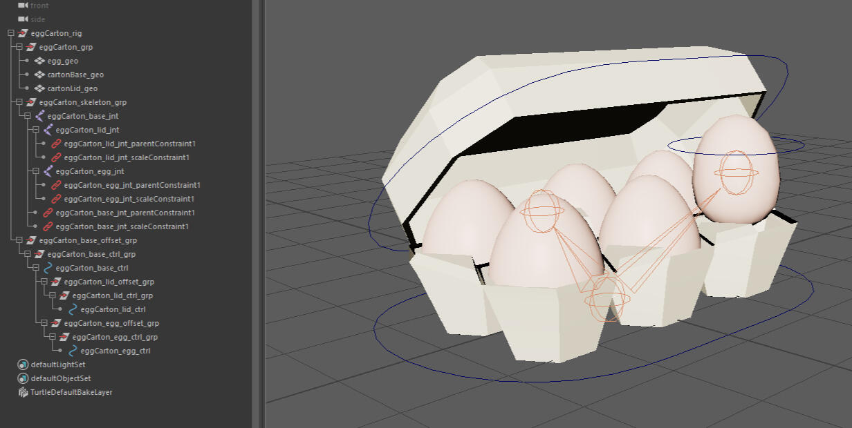 Egg Carton